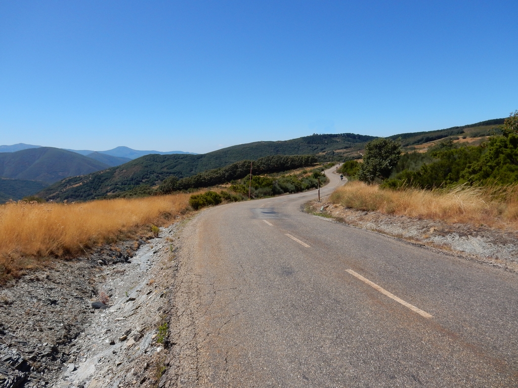 decorative background image